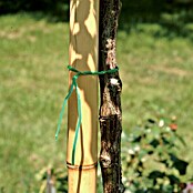 Bambusrohr (Länge: 150 cm, Durchmesser: 35 mm)