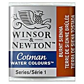Winsor & Newton Cotman Aquarelverf (Siena gebrand, ½ kopje)