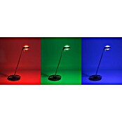 LeuchtenDirekt Lola Stolna LED svjetiljka Opti (S 1 žaruljom, 2 x 3 W, RGB, Visina: 62,5 cm)