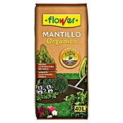 Flower Sustrato para plantas Orgánico (40 l)