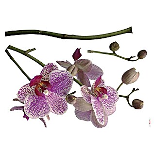 Komar Dekosticker (Orchidee, Rosa/Weiß/Grün, 100 x 70 cm)