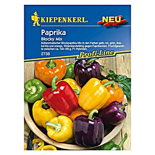 Kiepenkerl Profi-Line Gemüsesamen Blockpaprika (Blocky Mix F1, Capsicum annuum, Erntezeit: August - Oktober)