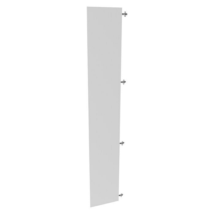 Finsa Puerta para mueble de armario (An x Al: 50 x 1,6 cm, Blanco)