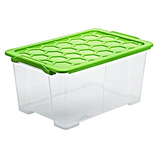 Rotho Aufbewahrungsbox Evo Safe (L x B x H: 59 x 39,5 x 28 cm, Fassungsvermögen: 44 l, Kunststoff, Deckelfarbe: Grün)