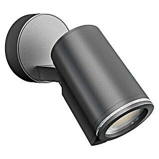 Steinel LED vanjski reflektor Spot One (6,7 W, D x Š x V: 9,8 x 9,7 x 17,5 cm, Antracit, IP44)