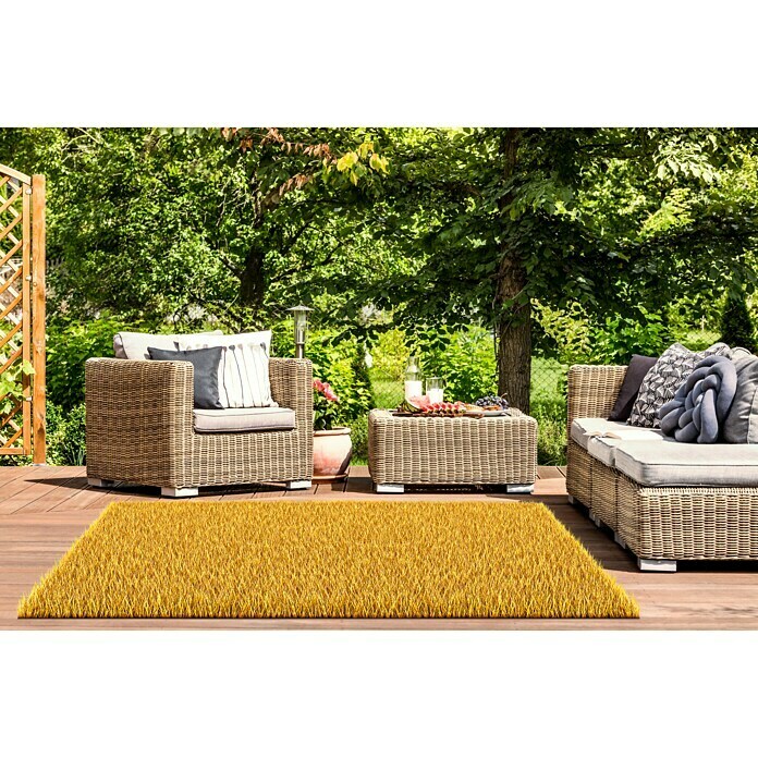 Classis Carpets  Infinity Grass Rasenteppich World of Colors (200 x 133 cm, Sunflower Gold, Ohne Noppen)