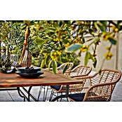 Sunfun Moni Vrtni stol (D x Š: 220 x 100 cm, Drvo, Prirodna)