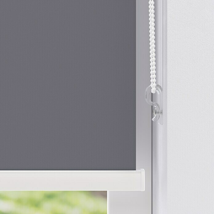 Expo Ambiente Rollo mit Kassette (B x H: 110 x 175 cm, Grau)