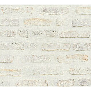 AS Creation New Walls Vliestapete Stein (Pastell, Steinoptik, 10,05 x 0,53 m)