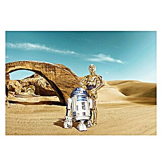 Komar Star Wars Fototapete Lost Droids (8 -tlg., B x H: 368 x 254 cm, Papier)