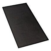 Siebdruckplatte Fixmaß (Birke, 800 x 600 x 9 mm)
