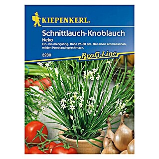 Kiepenkerl Profi-Line Kräutersamen Schnittknoblauch Neko (Allium tuberosum, Saatzeit: April - August, Erntezeit: Ganzjährig)
