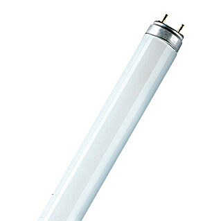 Osram Tubo fluorescente Fluora (T8, Blanco neutro, 30 W, Largo: 90 cm)