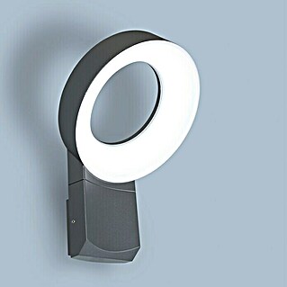Lutec Aplique exterior LED Meridian (14 W, 26,6 x 17,7 x 18 cm, Antracita, IP54)