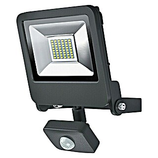 Ledvance LED-Strahler Endura Flood (Anthrazit, Sensor, 30 W, IP44)