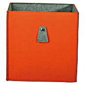 Phönix Atlanta Aufbewahrungsbox (L x B x H: 34 x 34 x 34 cm, Filz, Orange/Grau)