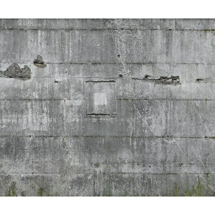 Rasch Fototapete Betonoptik (300 x 372 cm)