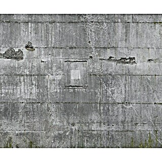 Rasch Fototapete Betonoptik (B x H: 300 x 372 cm, Vlies)
