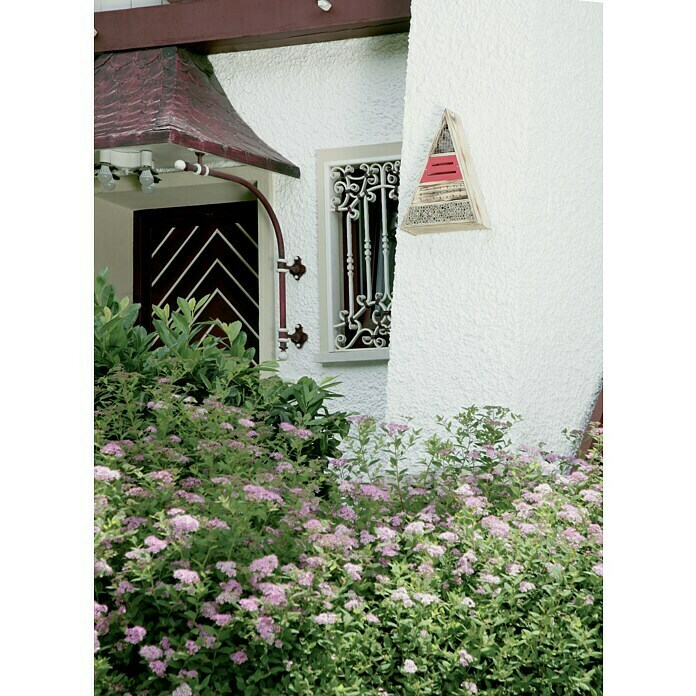 Windhager Insektenhotel (L x B x H: 36,5 x 9,5 x 48,5 cm, Holz, Naturbraun/Rot, Geflammt)