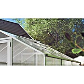 KGT Dachfenster (62 x 102 x 5 cm, Passend für: KGT Gewächshäuser Rose, Farbe: Pressblank)
