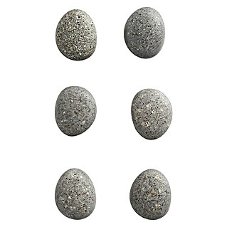 Zeller Present Magnet-Set Stone (6 -tlg., L x B: 2,1 x 1,8 cm)