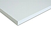 Regalböden Tischplatte Holzfachböden Stärke 25 mm in 6 Dekoren Regalbretter 