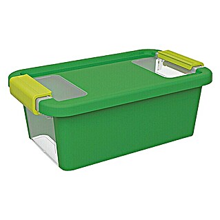 KIS Aufbewahrungsbox Bi-Box (L x B x H: 16 x 26,5 x 10 cm, Grün, Mit Deckel)