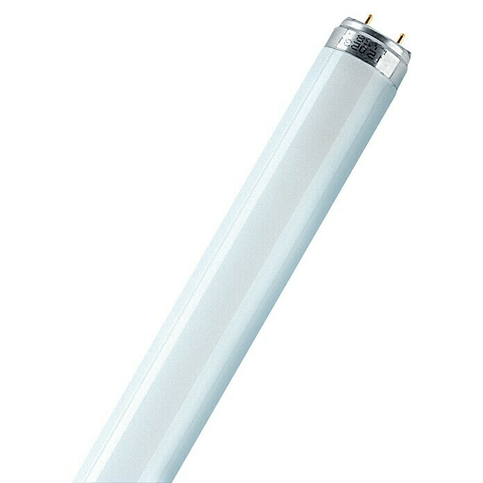Philips LEUCHTSTOFFLAMPE 36 Watt U-Form Neonlampe Neonröhre