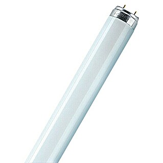 Osram Tubo fluorescente Daywhite (T8, Blanco neutro, 30 W, Largo: 90 cm, Clase de eficiencia energética: G)