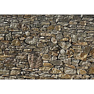 Komar Imagine Edition 3 - Stories Fototapete Stone Wall (8 -tlg., 368 x 254 cm)