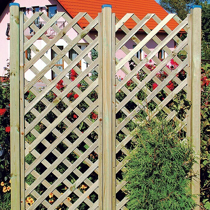 Rešetkasta ograda Diagonal (Š x V: 60 x 180 cm)