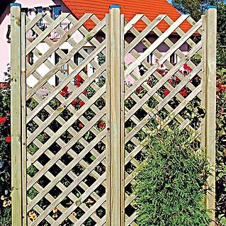 Rešetkasta ograda za biljke penjačice Diagonal (Š x V: 60 x 180 cm)