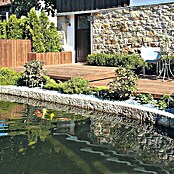 Tarima para terraza (Pino, 300 x 14,5 x 2,8 cm, Color: Teca)