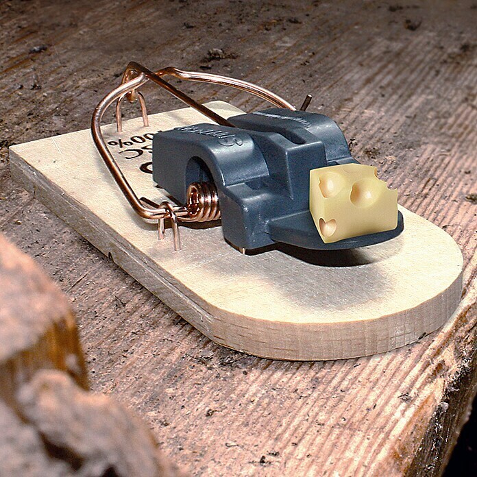 Swissinno SuperCat Zamka za miševe (Zamka za hvatanje mrtvih životinja, Drvo)