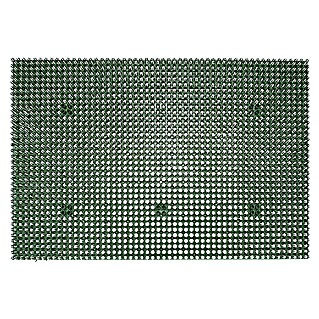 Astra Allwettermatte Season (Grün, 40 x 60 cm, 100 % Polyethylen)