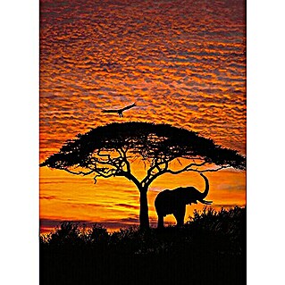 Komar Foto tapeta African Sunset (4 -dij., Š x V: 194 x 270 cm, Papir)