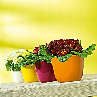 SK Okrugla tegla za biljke (Vanjska dimenzija (ø x V): 12 x 10 cm, Narančaste boje, Keramika, Sjaj)