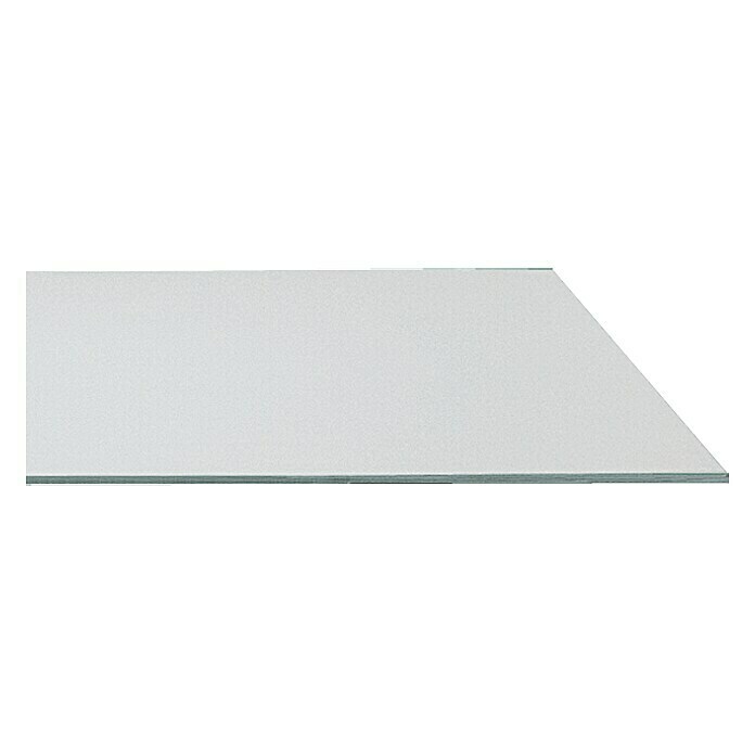 Rigips Bauplatte Rigidur (1.200 x 800 x 6,5 mm)