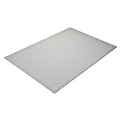 Fermacell Gipsfaserplatte Schlanke Platte (2.600 x 625 mm, Stärke: 12,5 mm)