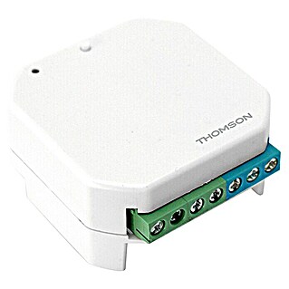 Thomson Mikromodul-Empfänger (Smarte Steuerung: App + Gateway Thombox, 500 W, Reichweite Funk: 150 m (Freifeld))