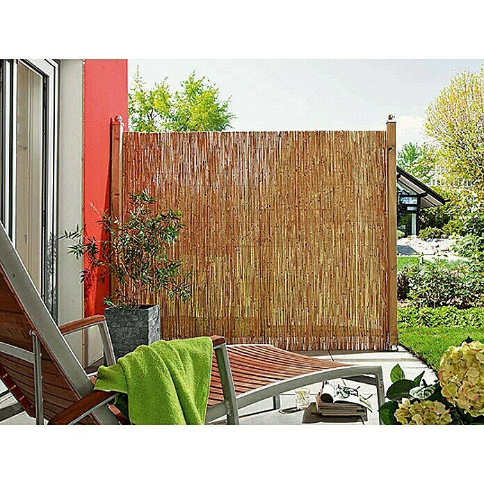 Gardol Schilfrohrmatte (600 x 100 cm, Geeignet für: Sicht- und Windschutz)