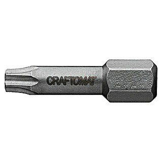 Craftomat Bit Metall (TX 20, 25 mm, 2 -tlg.)