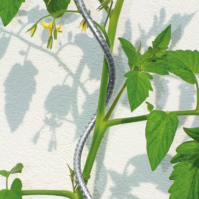 Bellissa Tomatenspirale (Länge: 1.800 mm, Durchmesser: 7 mm)