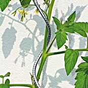 Bellissa Tomatenspirale (Länge: 1.800 mm, Durchmesser: 7 mm)