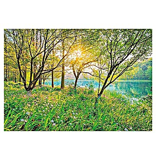 Komar Fototapete Spring Lake (8 -tlg., B x H: 368 x 254 cm, Papier)