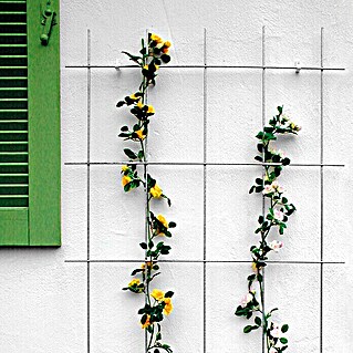 Bellissa Potporanj za cvijeće (75 x 150 cm, Debljina materijala: 5 mm, Broj podupirača: 5, Srebrne boje)