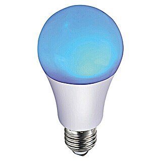 LED žarulja Globe (Plave boje, 5,5 W, 90 lm, E27)
