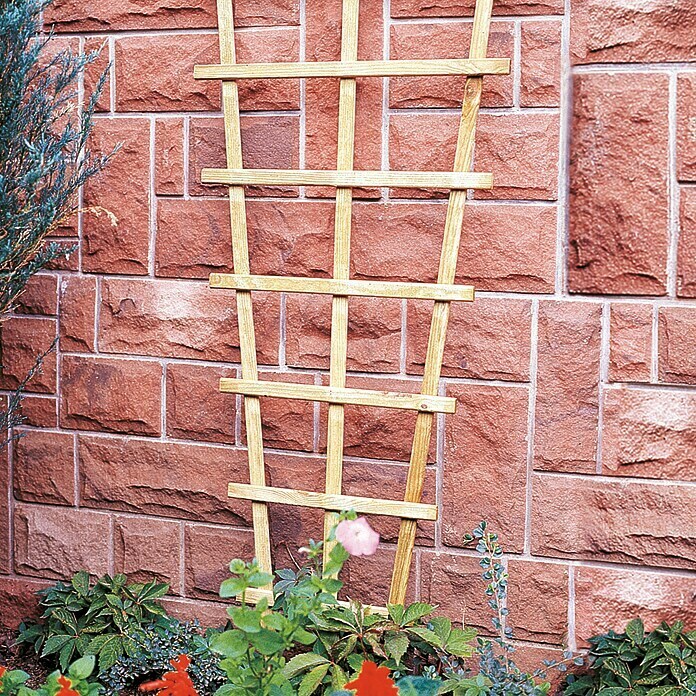 Rešetkasta ograda za biljke penjačice Trapez 