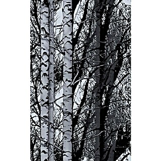 D-c-fix Trendyline Holzoptikfolie (150 x 45 cm, Wood, Schwarz/Weiß, Selbstklebend)