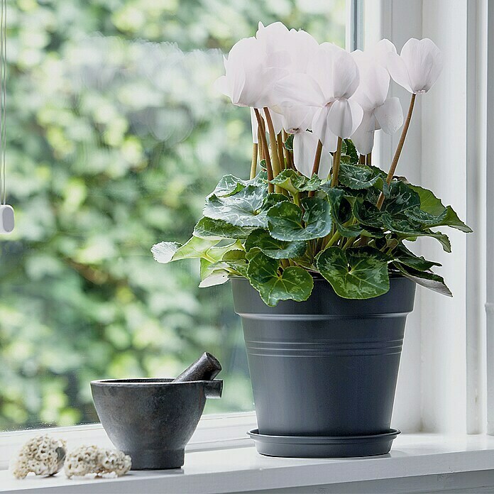 Elho Green Basics Tegla za cvijeće (Promjer: 11 cm, Plastika, Crna)
